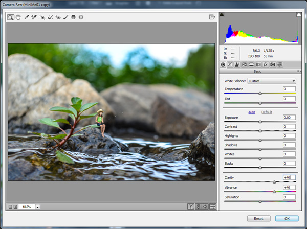 Camera Raw Filter to increase Clarity and Vibrance